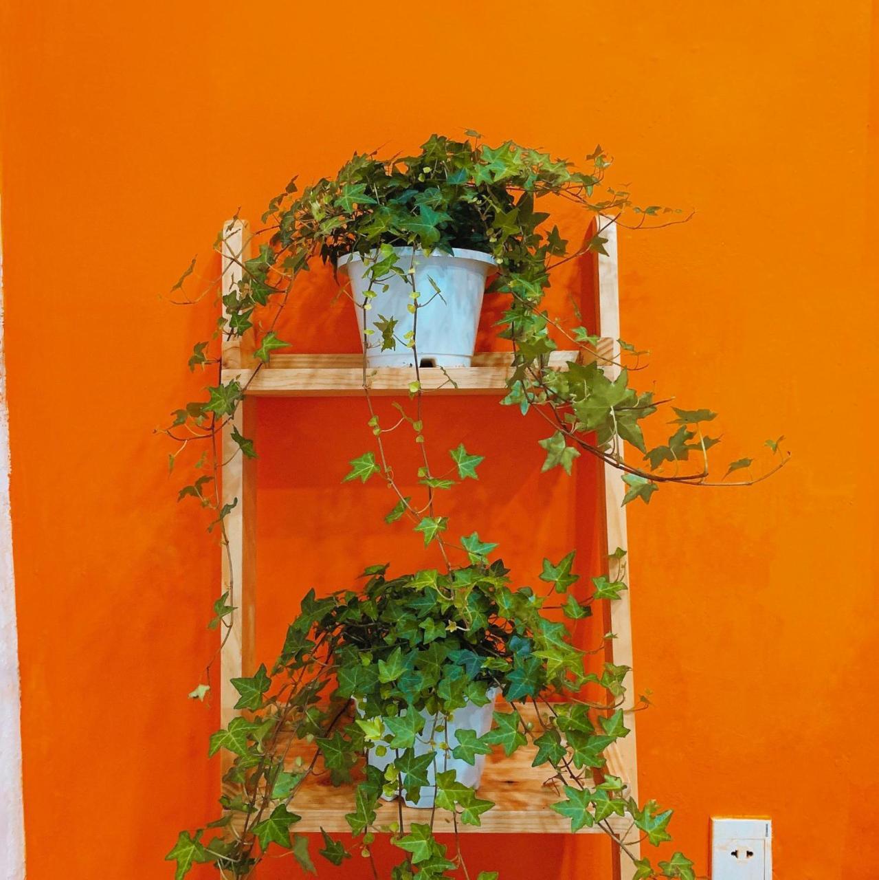 Summer Taste Homestay Ho Chi Minh-byen Eksteriør bilde